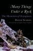 Book cover for "Many things under a rock"