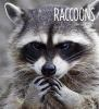 Book cover for "Raccoons".