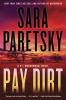 Book cover for "Pay dirt".
