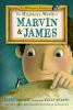 Book cover for "The miniature world of Marvin & James".