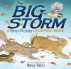 Book cover for "The big storm"