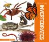 Book cover for "Essential invertebrates".