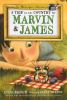 Book cover for "A trip to the country for Marvin and James".