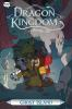 Book cover for "Dragon kingdom of Wrenly".