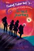 Book cover for "The last journey".