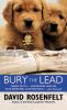 Book cover for "Bury the lead".