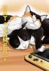 Book cover for "Cat + gamer".