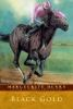Book cover for "Black gold"