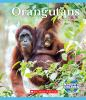 Book cover for "Orangutans".