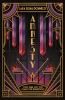 Book cover for "Amnesty".