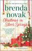 Book cover for "Christmas in Silver Springs".