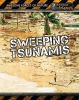Book cover for "Sweeping tsunamis"