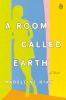 Book cover for "A room called earth"