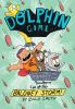 Book cover for "Dolphin Girl".