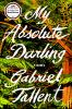 Book cover for "My absolute darling"