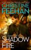 Book cover for "Shadow fire".
