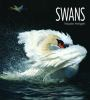 Book cover for "Swans".