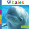 Book cover for "Whales".