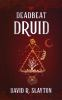 Book cover for "Deadbeat druid".
