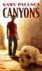 Book cover for "Canyons"