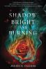 Book cover for "A shadow bright and burning"