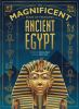 Book cover for "The magnificent book of treasures".