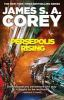 Book cover for "Persepolis rising".