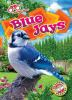 Book cover for "Blue jays".