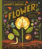 Book cover for "What's inside a flower?".