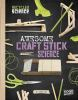 Book cover for "Awesome craft stick science"