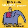 Book cover for "Big little =".