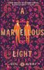 Book cover for "A marvellous light"