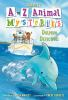 Book cover for "Dolphin detectives".