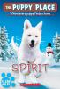 Book cover for "Spirit".