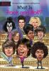 Book cover for "What is rock and roll?".