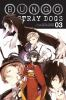 Book cover for "Bungo stray dogs".