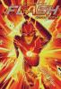 Book cover for "The Flash"