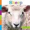Book cover for "Sheep".
