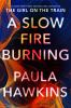 Book cover for "A slow fire burning"