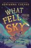 Book cover for "What fell from the sky"