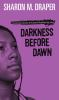 Book cover for "Darkness before dawn".