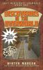Book cover for "Discoveries in the Overworld"