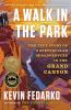 Book cover for "A walk in the park"