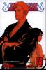 Book cover for "Bleach".