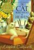 Book cover for "The cat who went to heaven"