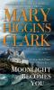 Book cover for "Moonlight becomes you"