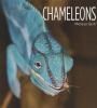 Book cover for "Chameleons".