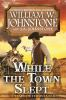 Book cover for "While the town slept".