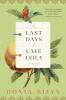 Book cover for "The last days of Café Leila"