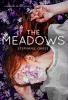 Book cover for "The meadows"